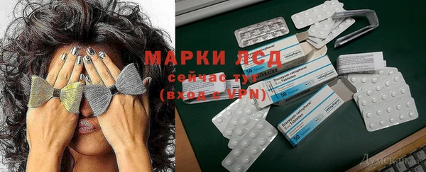 амф Болотное